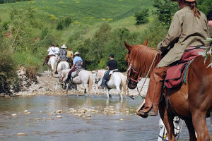 Maremma Cavallo